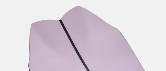  Burton 3D Fish 