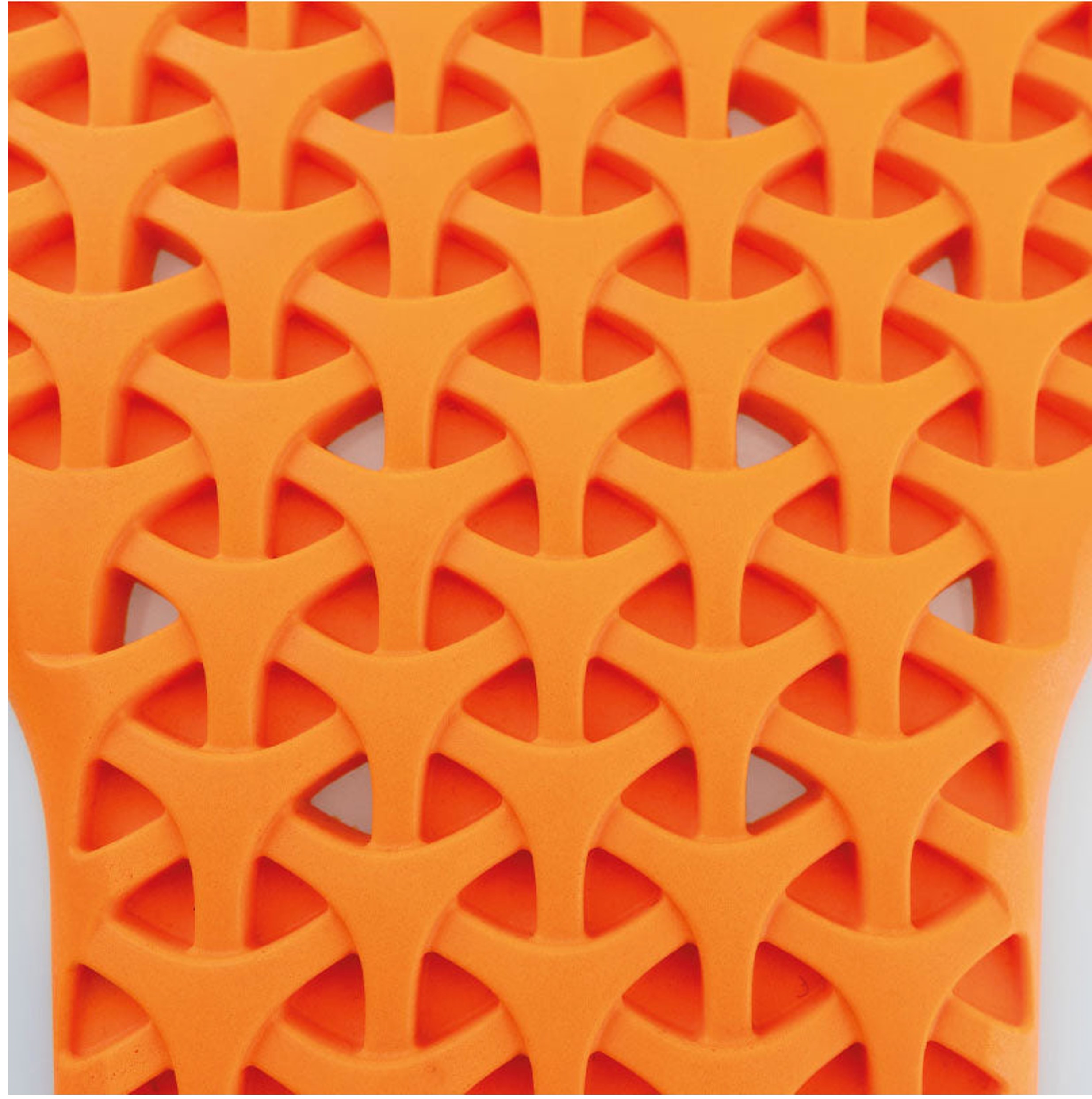  Clover Backprotector 