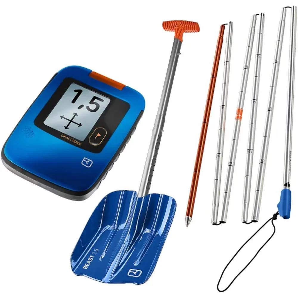 lawine sonde
