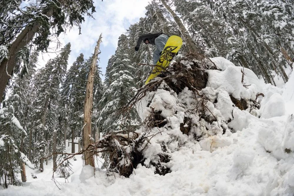 true twin snowboard